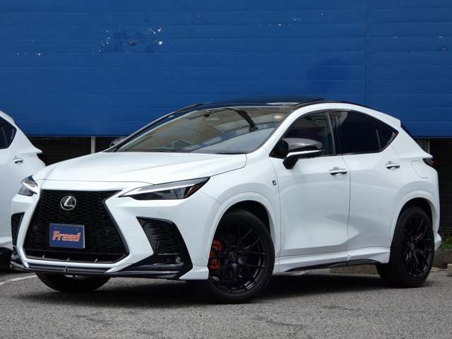 Lexus NX 11