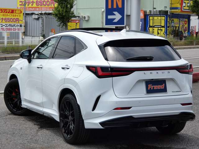 Lexus NX 12