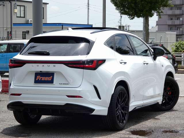 Lexus NX 10