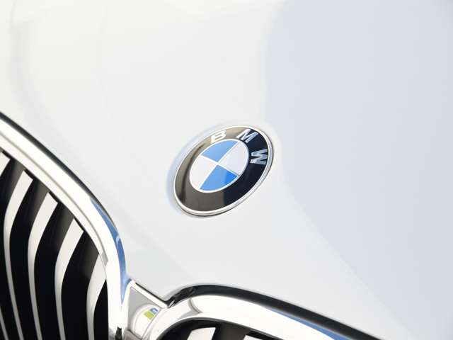 BMW X1 11