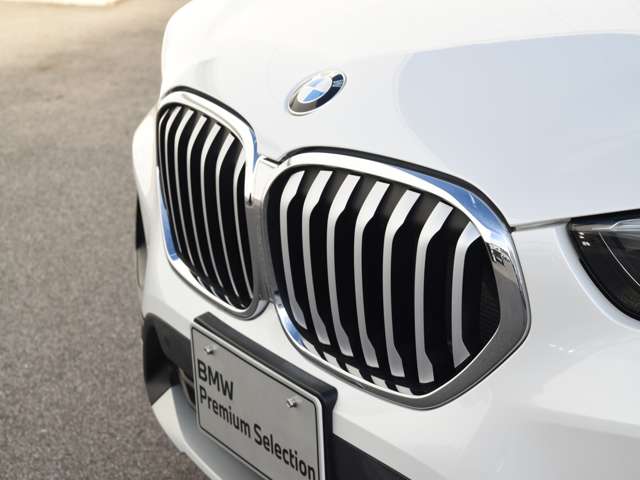 BMW X1 10