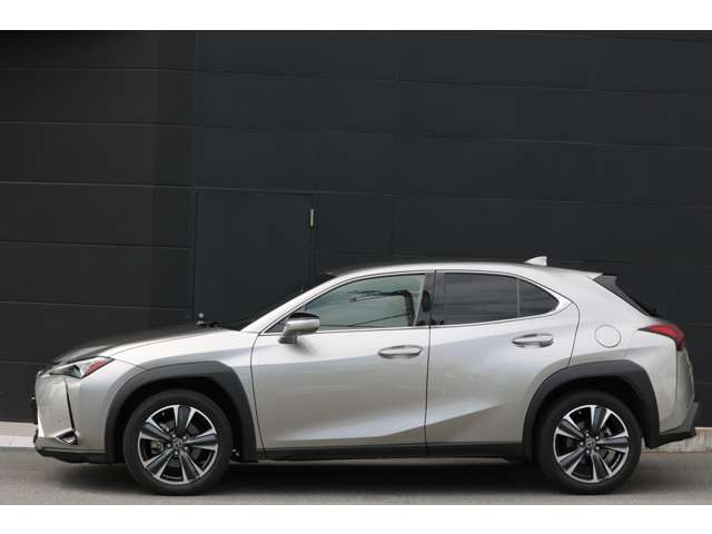 Lexus UX 11