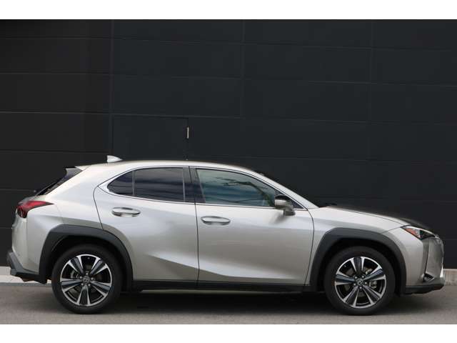 Lexus UX 12