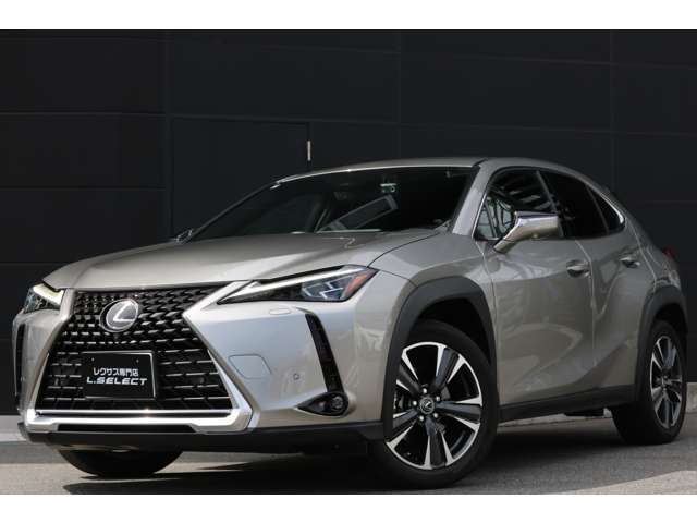 Lexus UX 5