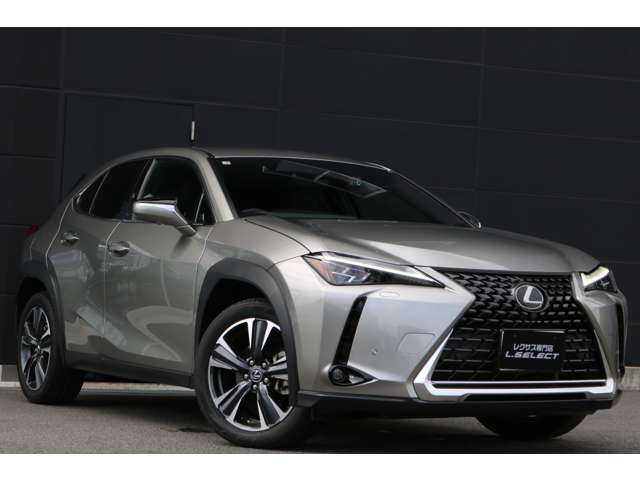 Lexus UX 6