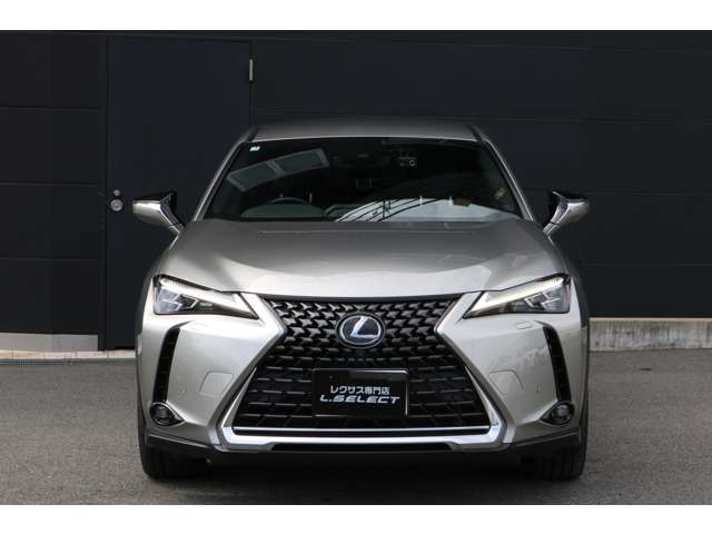Lexus UX 7