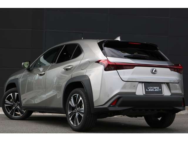 Lexus UX 8