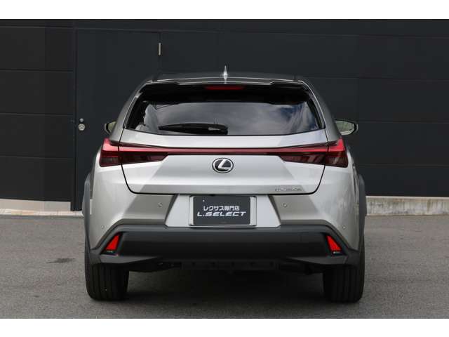 Lexus UX 9
