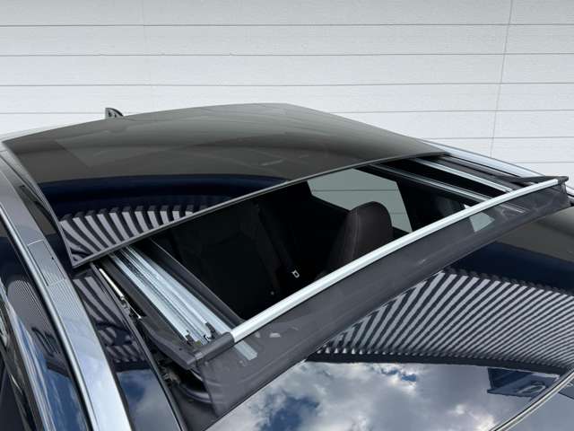 Lexus RX 11