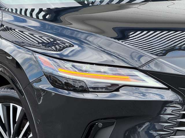 Lexus RX 12