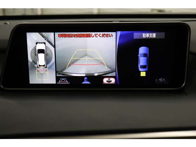 Lexus RX 11