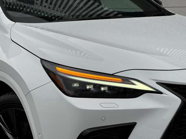Lexus NX 11