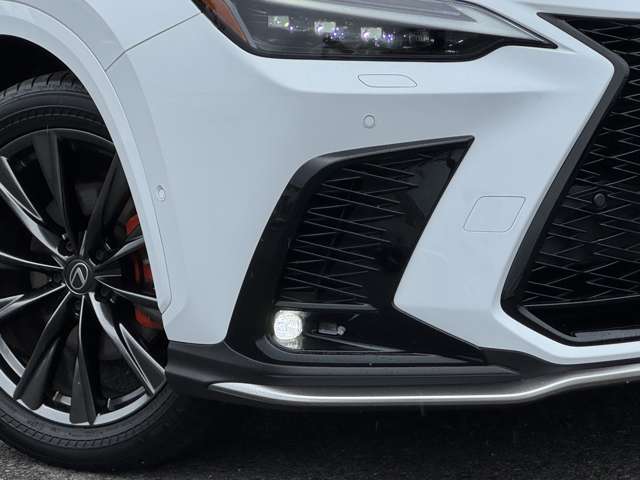 Lexus NX 12
