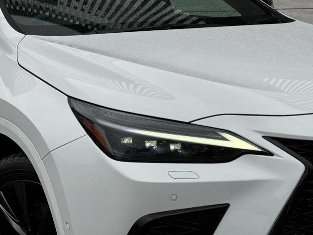 Lexus NX 10
