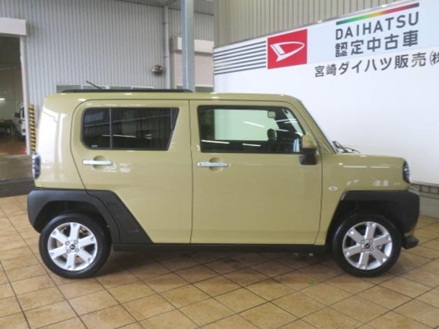 Daihatsu Taft 6