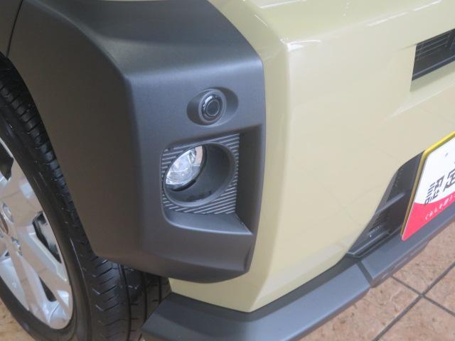 Daihatsu Taft 9