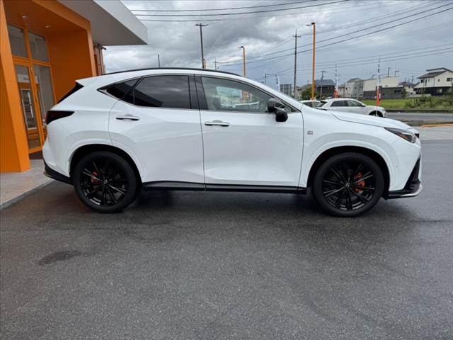 Lexus NX 11