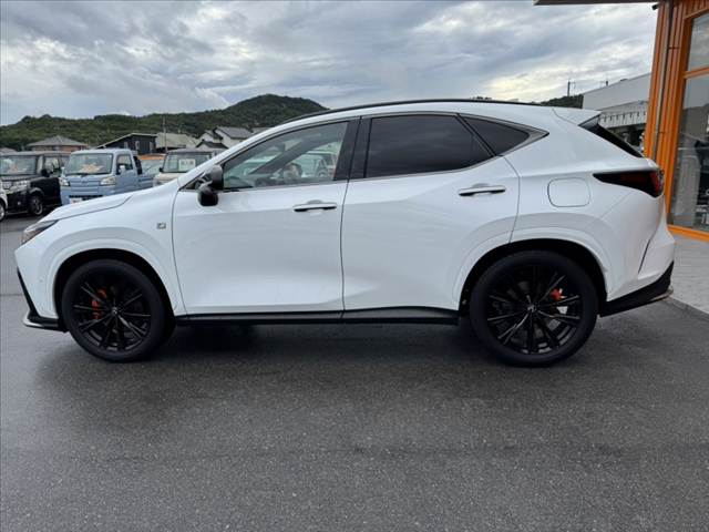 Lexus NX 12