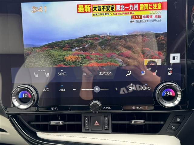 Lexus NX 4