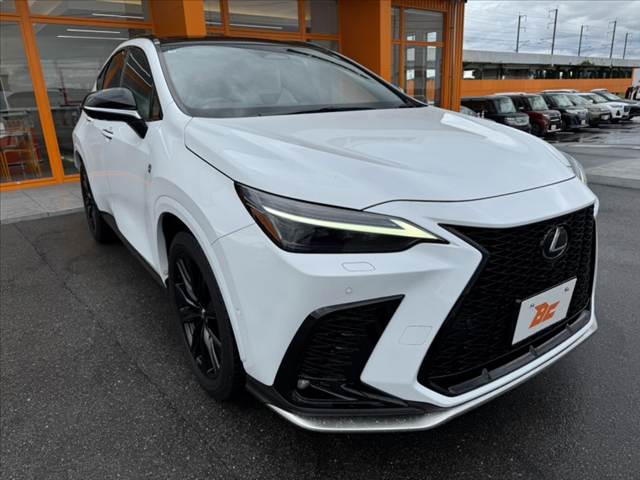 Lexus NX 8