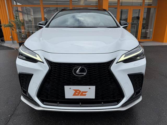 Lexus NX 9