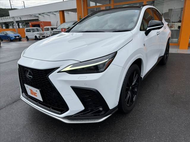 Lexus NX 10