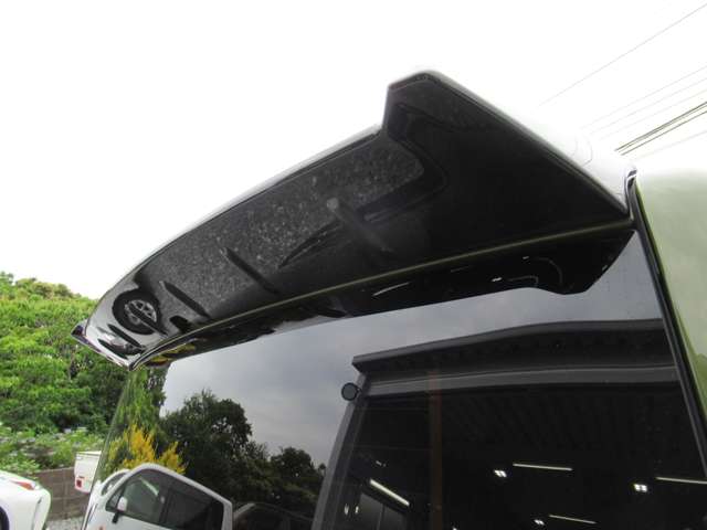 Daihatsu Taft 12