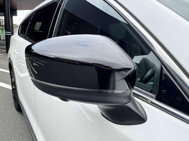 Mazda CX-8 12