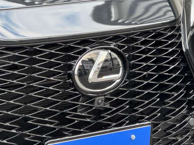 Lexus NX 12