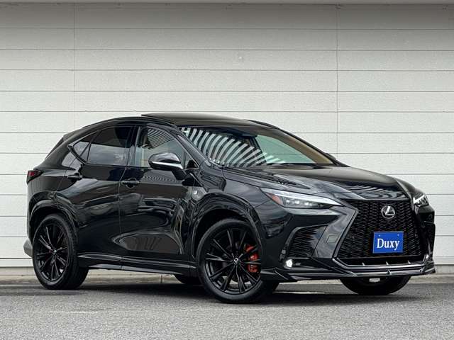 Lexus NX 6