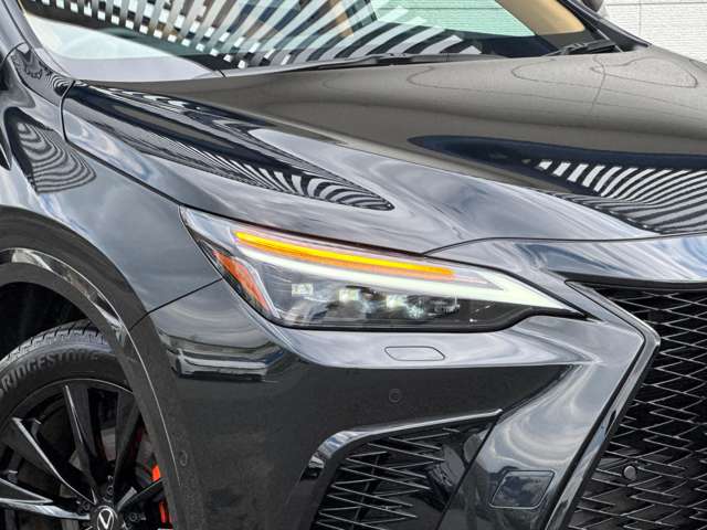 Lexus NX 10