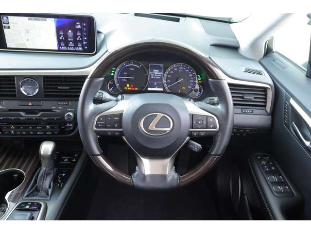 Lexus RX 11