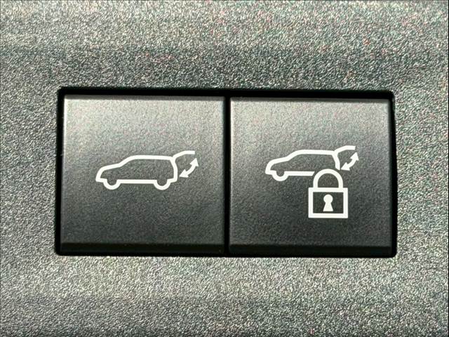 Lexus NX 11