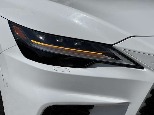 Lexus RX 11