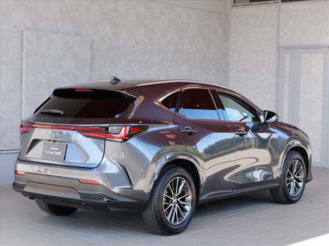 Lexus NX 11