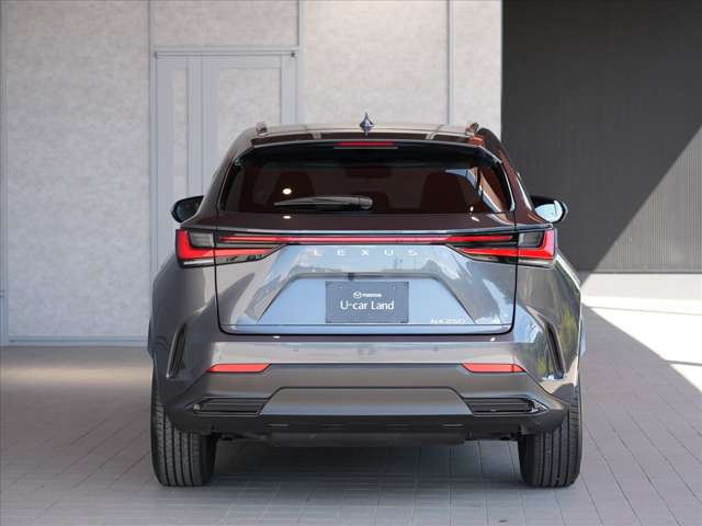Lexus NX 12