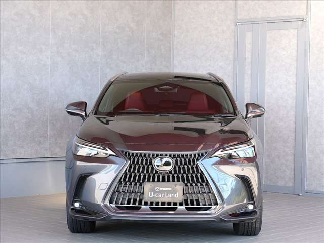 Lexus NX 8