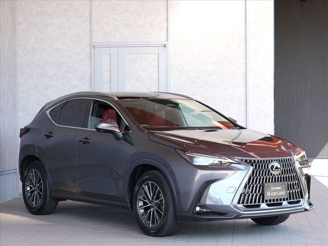Lexus NX 9