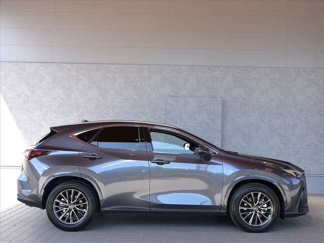 Lexus NX 10