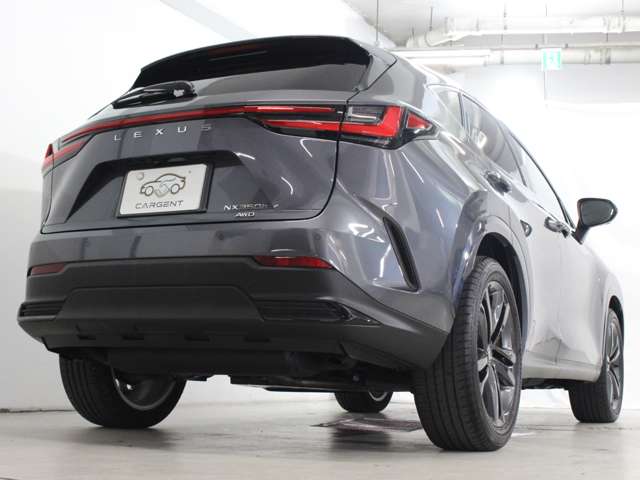 Lexus NX 11
