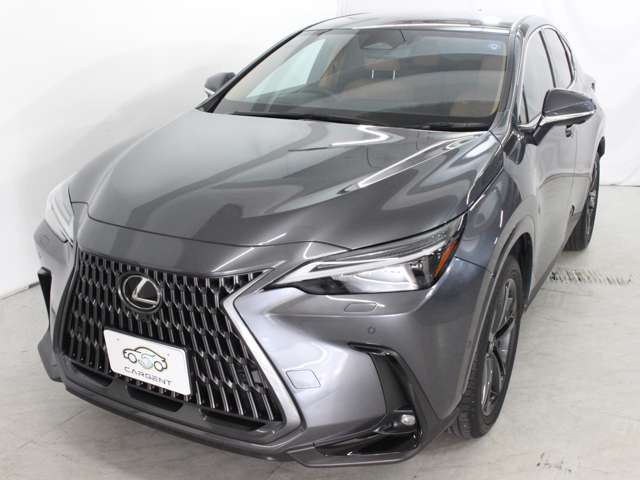 Lexus NX 12