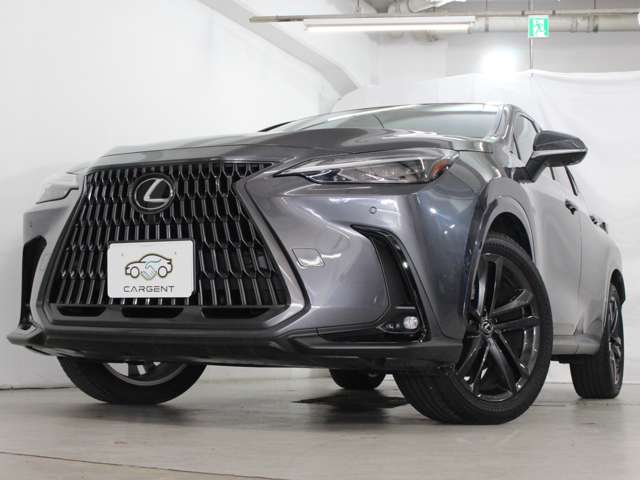 Lexus NX 4