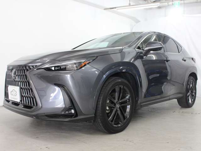 Lexus NX 6