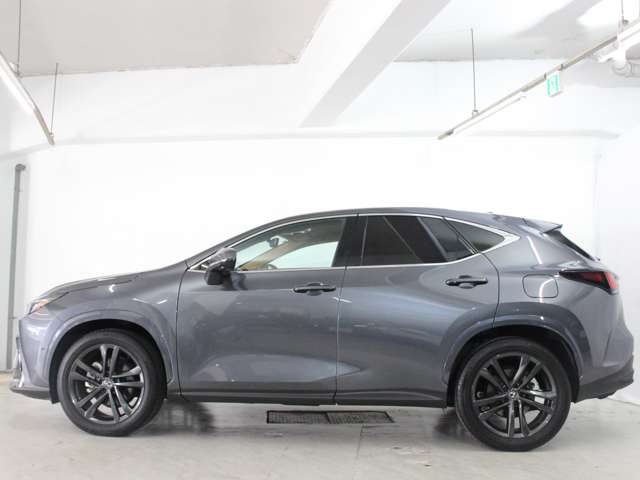 Lexus NX 7