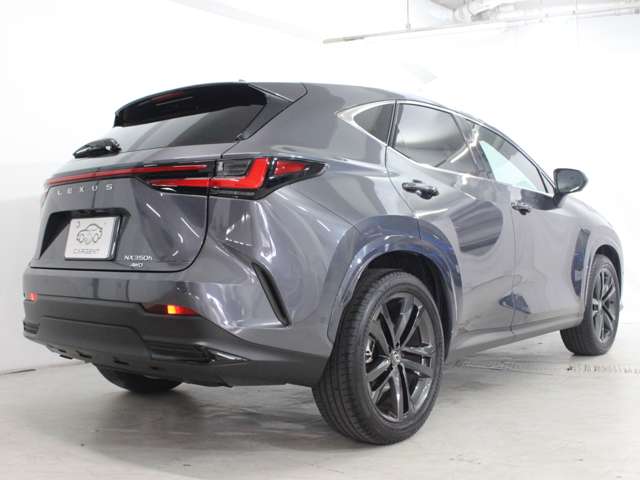 Lexus NX 8