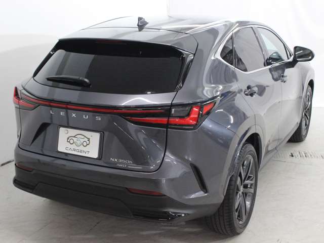 Lexus NX 10