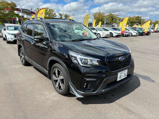 Subaru Forester 13