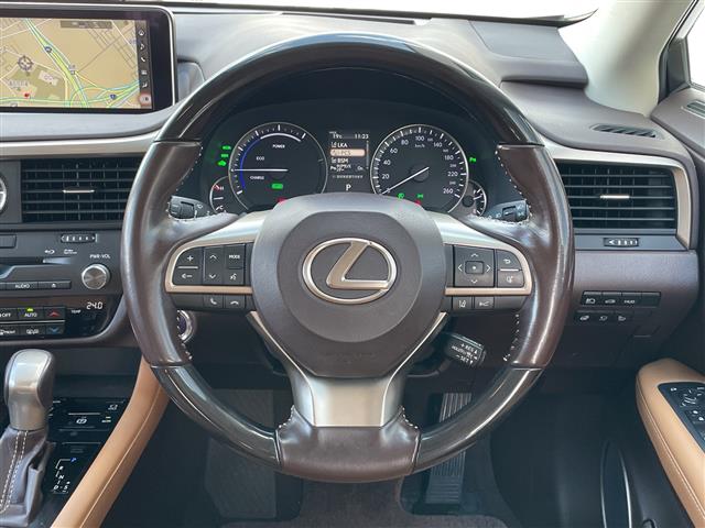 Lexus RX 11