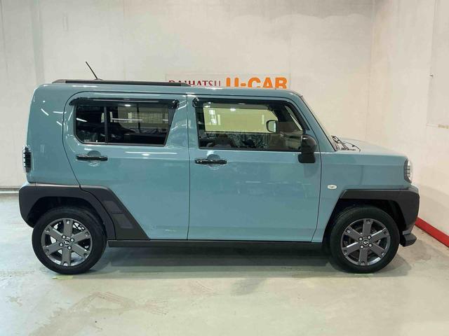 Daihatsu Taft 12