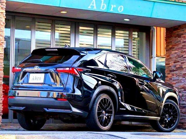 Lexus NX 8